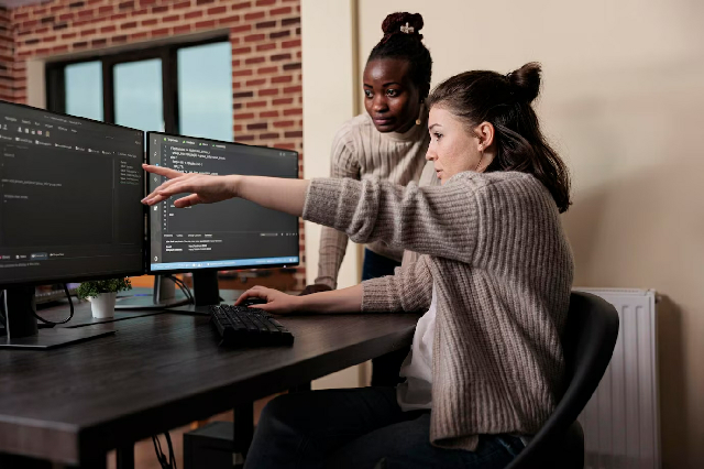 Services - Software Development